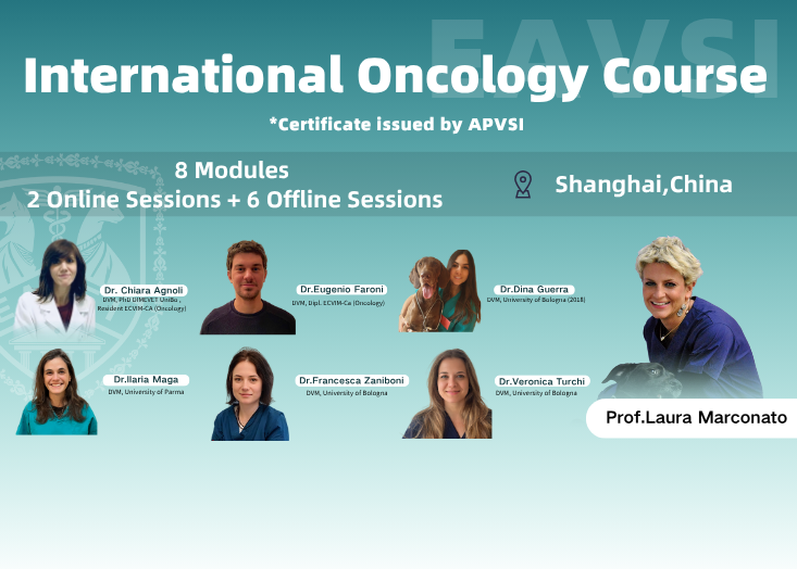 International Oncology Course
