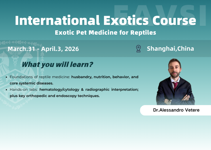Exotic Pet Medicine for Reptiles