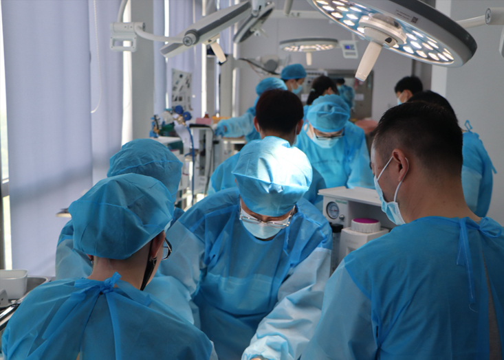 International Advanced Master Course on Exotic Pet Medicine for Reptiles