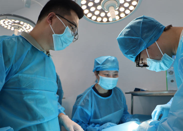 Advanced Soft Tissue Surgery Workshop