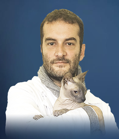 Prof.Federico Fracassi