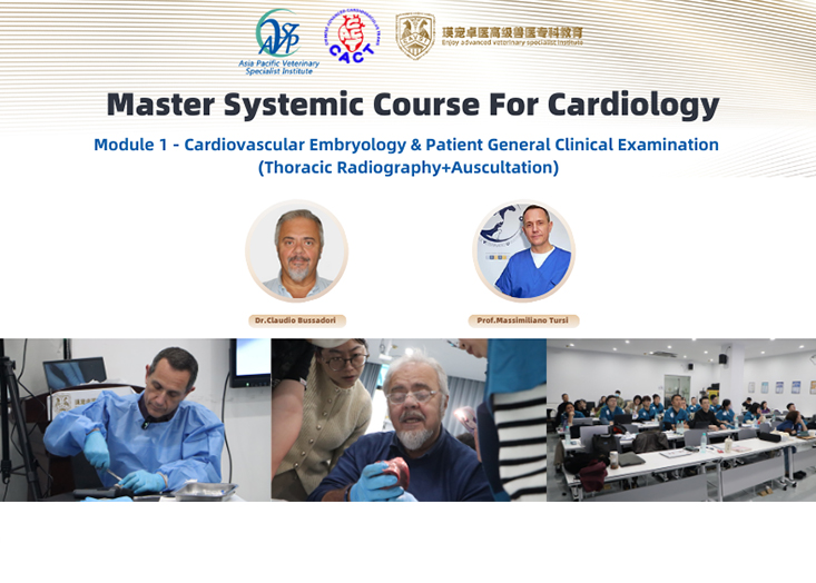 Module 1 · Cardiovascular Embryology & Patient General Clinical Examination (Thoracic Radiography+Auscultation)