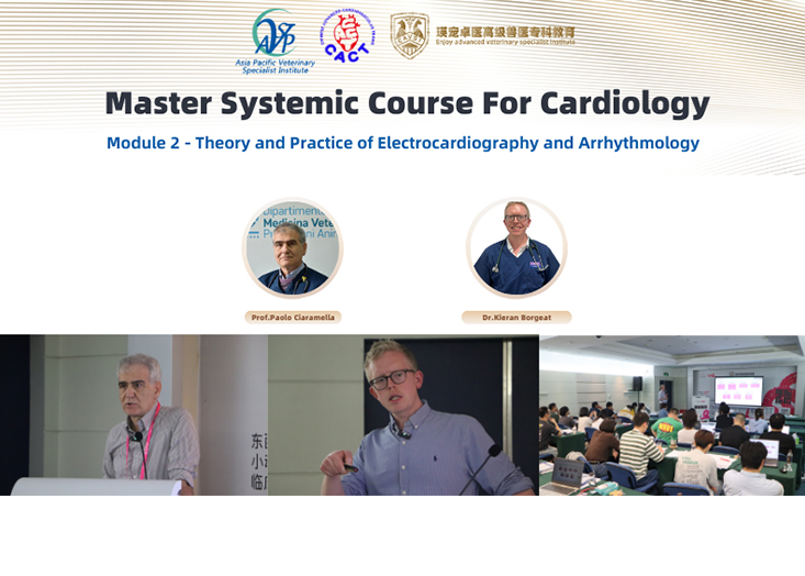 Module 2 · Theory and Practice of Electrocardiography  and Arrhythmology