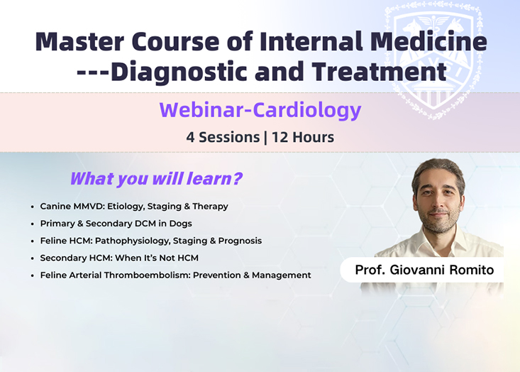 Online Sessions · Cardiology