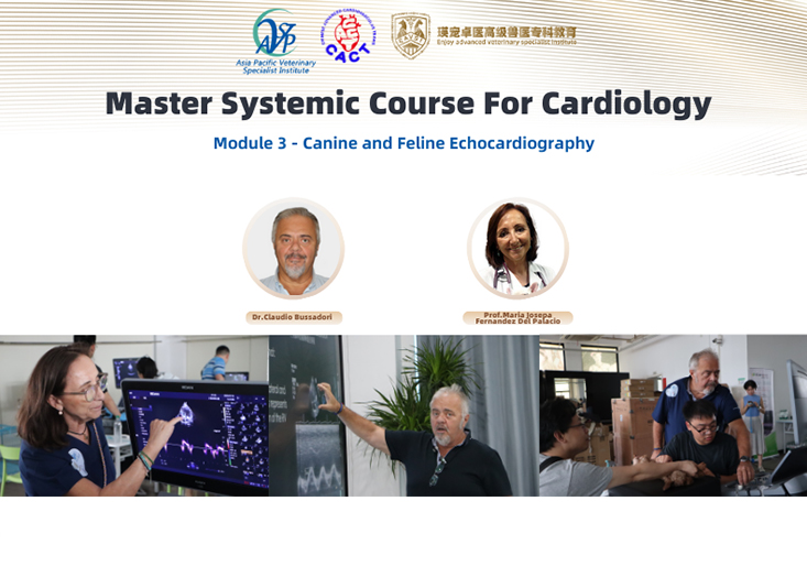 Module 3 · Canine and Feline Echocardiography