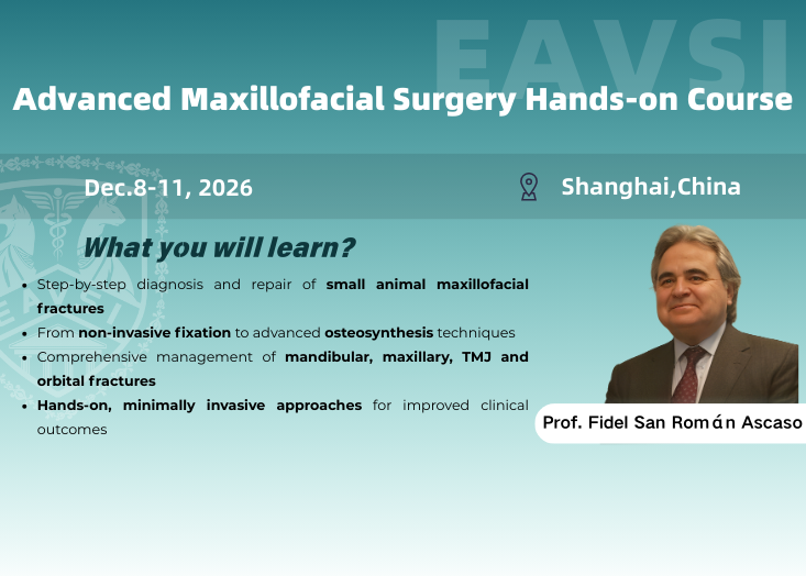 Advanced Maxillofacial Surgery Hands-on Course