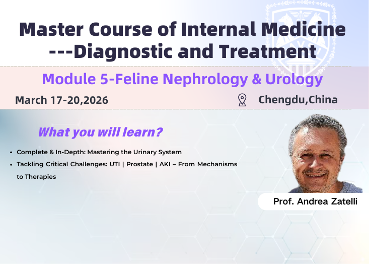 Module 5 · Urinary System Diseases Diagnosis & Treatment