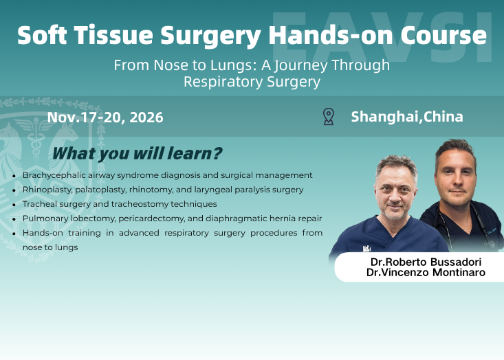 Soft Tissue Surgery Hands-on Course