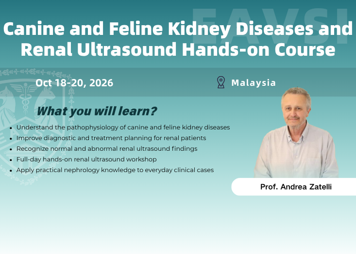 MY-Canine and Feline Kidney Diseases and Renal Ultrasound Hands-on Course