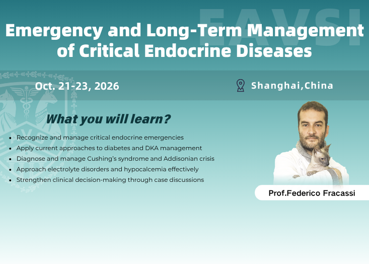 Emergency and Long-Term Management of Critical Endocrine Diseases